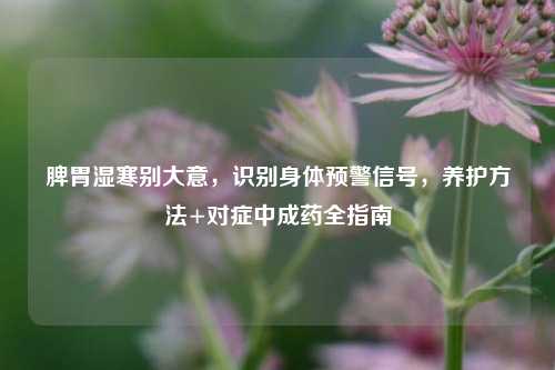 脾胃湿寒别大意，识别身体预警信号，养护方法+对症中成药全指南