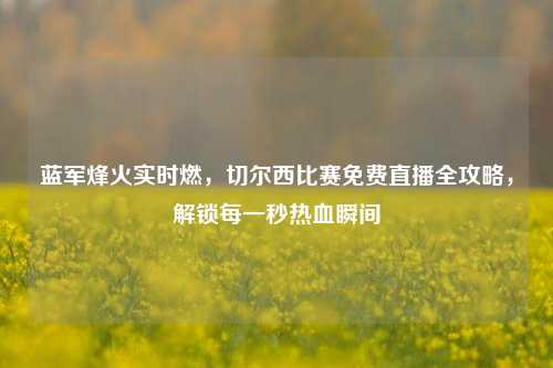 蓝军烽火实时燃,切尔西比赛免费直播全攻略,解锁每一秒热血瞬间