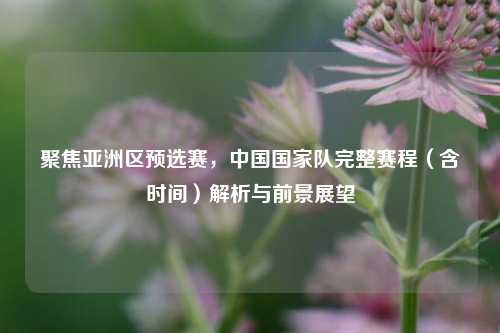聚焦亚洲区预选赛，中国国家队完整赛程（含时间）解析与前景展望