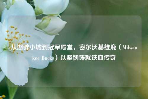 从湖畔小城到冠军殿堂,密尔沃基雄鹿(Milwaukee Bucks)以坚韧铸就铁血传奇