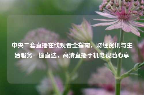 中央二套直播在线观看全指南，财经资讯与生活服务一键直达，高清直播手机电视随心享