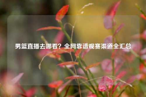 男篮直播去哪看？全网靠谱观赛渠道全汇总