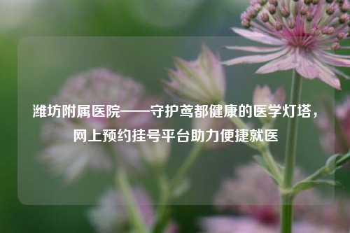 潍坊附属医院——守护鸢都健康的医学灯塔，网上预约挂号平台助力便捷就医