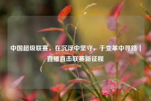 中国超级联赛，在沉浮中坚守，于变革中寻路｜直播直击联赛新征程