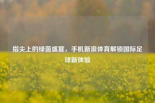 指尖上的绿茵盛宴，手机新浪体育解锁国际足球新体验
