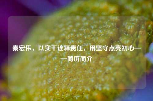 秦宏伟，以实干诠释责任，用坚守点亮初心——简历简介