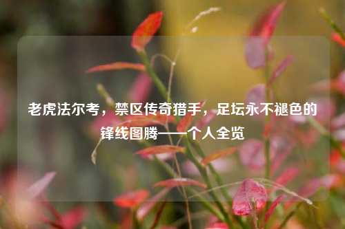 老虎法尔考，禁区传奇猎手，足坛永不褪色的锋线图腾——个人全览