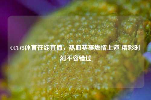 CCTV5体育在线直播,热血赛事燃情上演 精彩时刻不容错过