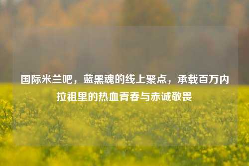 国际米兰吧,蓝黑魂的线上聚点,承载百万内拉祖里的热血青春与赤诚敬畏