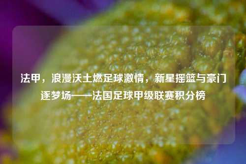 法甲,浪漫沃土燃足球激情,新星摇篮与豪门逐梦场——法国足球甲级联赛积分榜