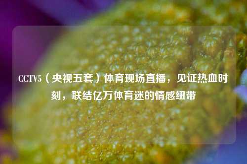 CCTV5（央视五套）体育现场直播，见证热血时刻，联结亿万体育迷的情感纽带