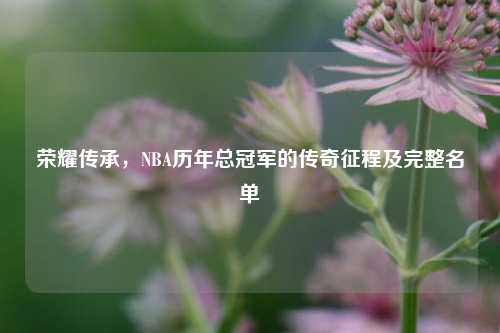 荣耀传承，NBA历年总冠军的传奇征程及完整名单
