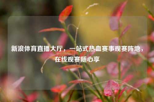 新浪体育直播大厅，一站式热血赛事观赛阵地，在线观赛随心享