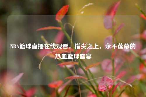 NBA篮球直播在线观看，指尖之上，永不落幕的热血篮球盛宴