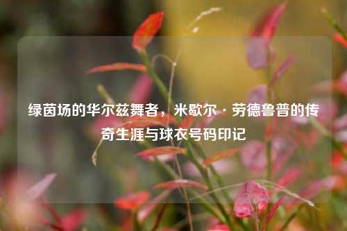 绿茵场的华尔兹舞者，米歇尔·劳德鲁普的传奇生涯与球衣号码印记