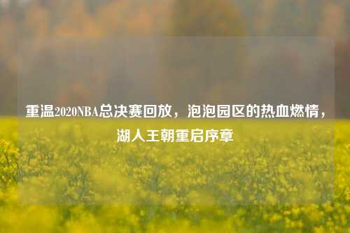 重温2020NBA总决赛回放，泡泡园区的热血燃情，湖人王朝重启序章