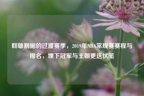 群雄割据的过渡赛季,2019年NBA常规赛赛程与排名,埋下冠军与王朝更迭伏笔