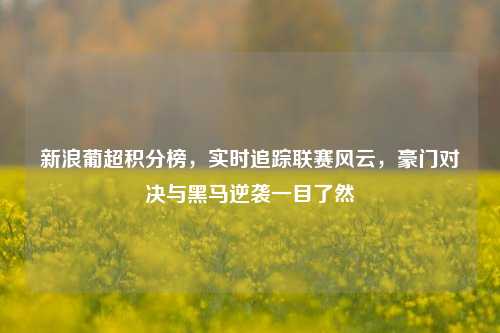 新浪葡超积分榜，实时追踪联赛风云，豪门对决与黑马逆袭一目了然