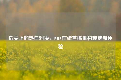 指尖上的热血对决,NBA在线直播重构观赛新体验