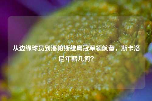 从边缘球员到潘帕斯雄鹰冠军领航者，斯卡洛尼年薪几何？