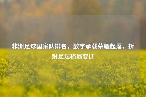 非洲足球国家队排名，数字承载荣耀起落，折射足坛格局变迁