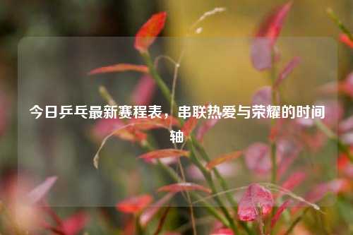 今日乒乓最新赛程表，串联热爱与荣耀的时间轴