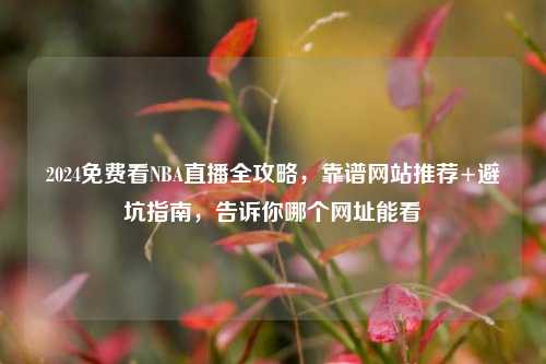 2024免费看NBA直播全攻略，靠谱网站推荐+避坑指南，告诉你哪个网址能看