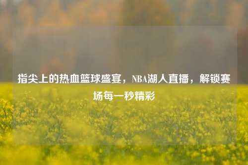 指尖上的热血篮球盛宴，NBA湖人直播，解锁赛场每一秒精彩