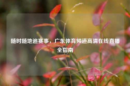 随时随地追赛事,广东体育频道高清在线直播全指南