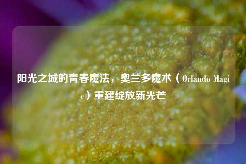 阳光之城的青春魔法，奥兰多魔术（Orlando Magic）重建绽放新光芒