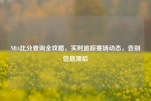 NBA比分查询全攻略，实时追踪赛场动态，告别信息滞后