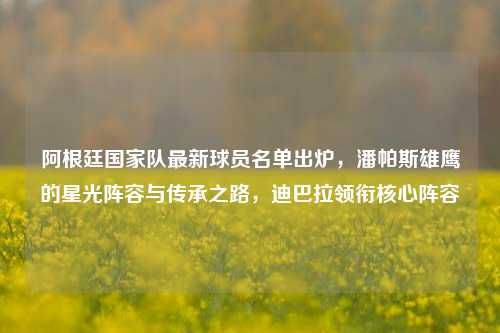 阿根廷国家队最新球员名单出炉，潘帕斯雄鹰的星光阵容与传承之路，迪巴拉领衔核心阵容