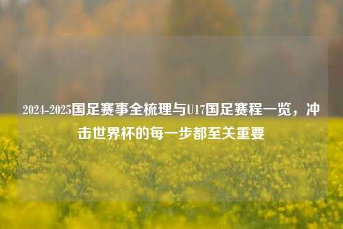 2024-2025国足赛事全梳理与U17国足赛程一览，冲击世界杯的每一步都至关重要