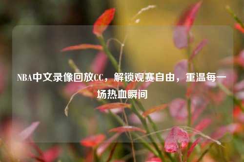 NBA中文录像回放CC，解锁观赛自由，重温每一场热血瞬间