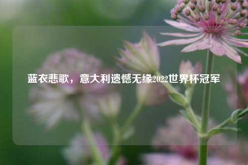 蓝衣悲歌，意大利遗憾无缘2022世界杯冠军