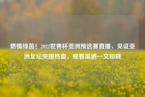 燃情绿茵!2022世界杯亚洲预选赛直播,见证亚洲足坛突围热血,观看渠道一文知晓