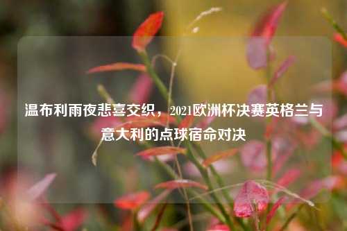 温布利雨夜悲喜交织，2021欧洲杯决赛英格兰与意大利的点球宿命对决