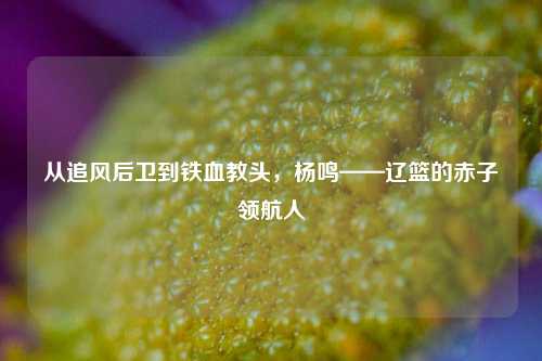 从追风后卫到铁血教头，杨鸣——辽篮的赤子领航人
