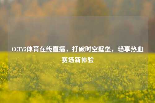 CCTV5体育在线直播，打破时空壁垒，畅享热血赛场新体验