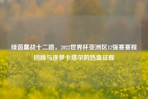 绿茵鏖战十二路，2022世界杯亚洲区12强赛赛程回顾与逐梦卡塔尔的热血征程