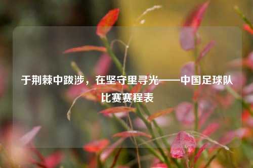于荆棘中跋涉,在坚守里寻光——中国足球队比赛赛程表