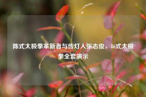 陈式太极拳革新者与传灯人张志俊，86式太极拳全套演示