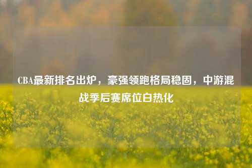 CBA最新排名出炉，豪强领跑格局稳固，中游混战季后赛席位白热化
