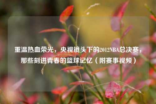 重温热血荣光，央视镜头下的2012NBA总决赛，那些刻进青春的篮球记忆（附赛事视频）