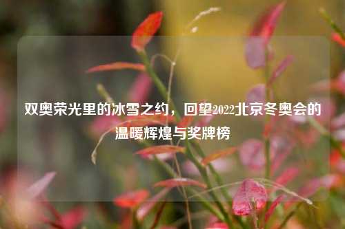 双奥荣光里的冰雪之约，回望2022北京冬奥会的温暖辉煌与奖牌榜