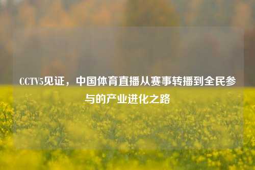 CCTV5见证，中国体育直播从赛事转播到全民参与的产业进化之路