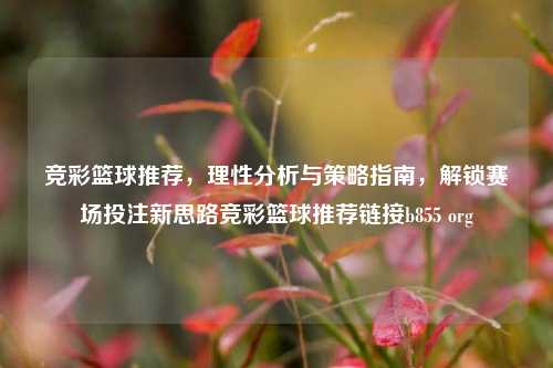 竞彩篮球推荐，理性分析与策略指南，解锁赛场投注新思路竞彩篮球推荐链接b855 org