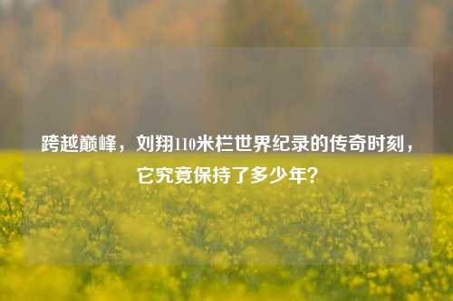 跨越巅峰，刘翔110米栏世界纪录的传奇时刻，它究竟保持了多少年？
