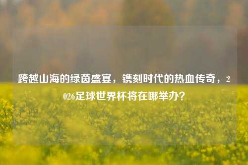 跨越山海的绿茵盛宴，镌刻时代的热血传奇，2026足球世界杯将在哪举办？