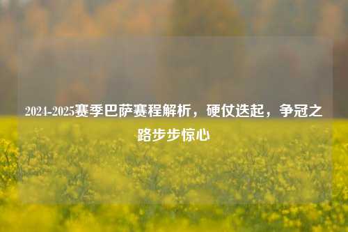 2024-2025赛季巴萨赛程解析，硬仗迭起，争冠之路步步惊心